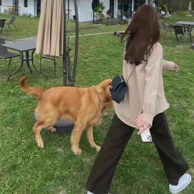 第七天堂